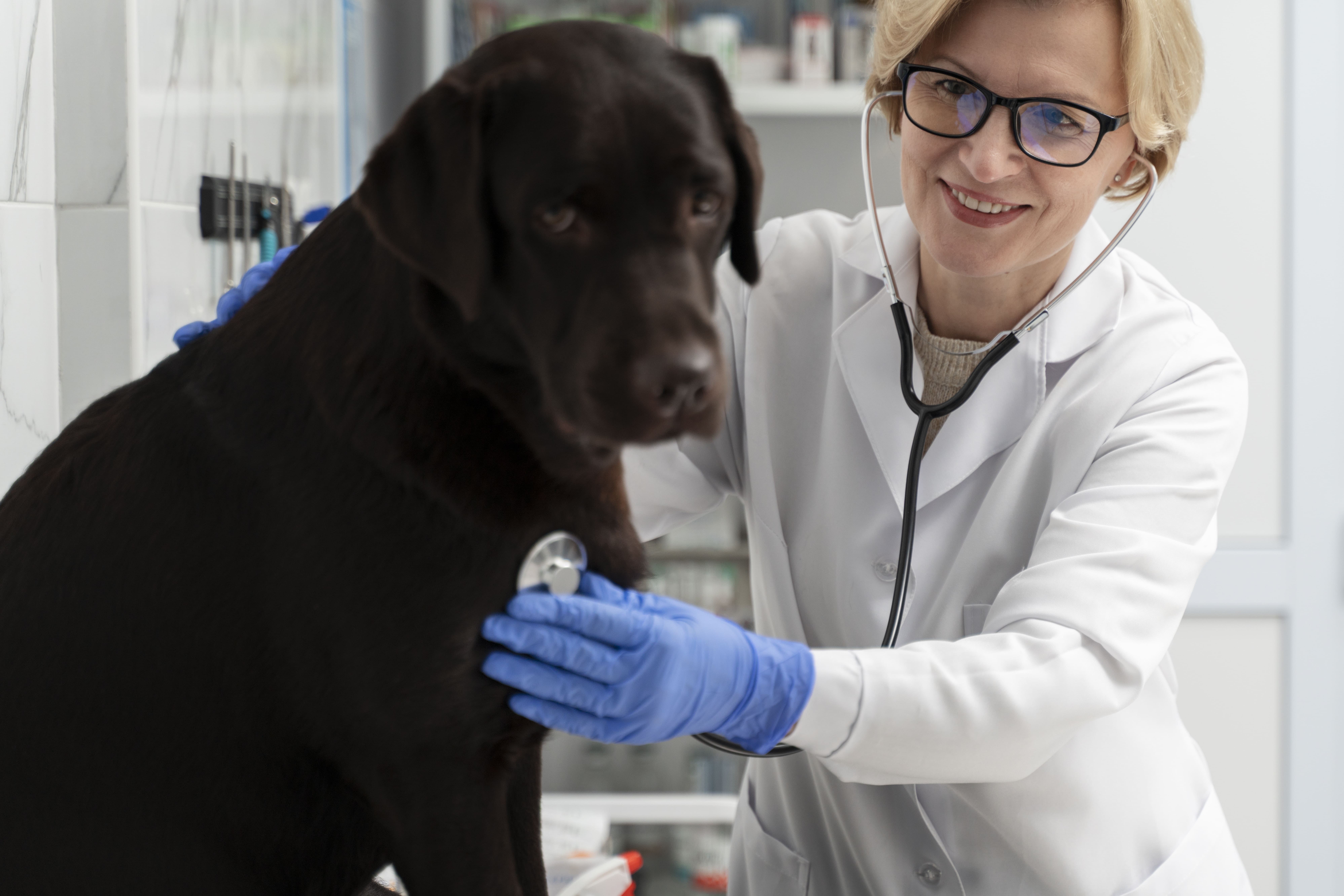 close-up-smiley-woman-checking-dog (1).jpg